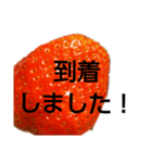 部活連絡(保護者)文字だけシンプルイチゴ（個別スタンプ：10）