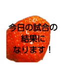 部活連絡(保護者)文字だけシンプルイチゴ（個別スタンプ：12）