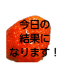 部活連絡(保護者)文字だけシンプルイチゴ（個別スタンプ：15）