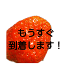 部活連絡(保護者)文字だけシンプルイチゴ（個別スタンプ：18）