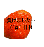 部活連絡(保護者)文字だけシンプルイチゴ（個別スタンプ：20）