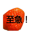 部活連絡(保護者)文字だけシンプルイチゴ（個別スタンプ：21）