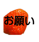 部活連絡(保護者)文字だけシンプルイチゴ（個別スタンプ：22）