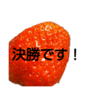 部活連絡(保護者)文字だけシンプルイチゴ（個別スタンプ：23）