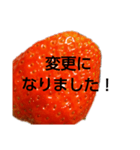 部活連絡(保護者)文字だけシンプルイチゴ（個別スタンプ：25）