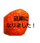 部活連絡(保護者)文字だけシンプルイチゴ（個別スタンプ：26）