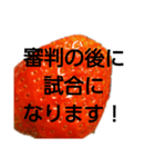 部活連絡(保護者)文字だけシンプルイチゴ（個別スタンプ：29）