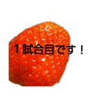 部活連絡(保護者)文字だけシンプルイチゴ（個別スタンプ：30）
