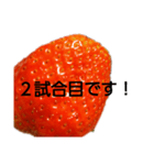 部活連絡(保護者)文字だけシンプルイチゴ（個別スタンプ：31）