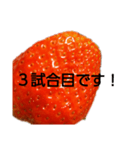 部活連絡(保護者)文字だけシンプルイチゴ（個別スタンプ：32）