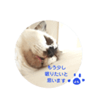 よもぎ大福の味vol.1（個別スタンプ：3）