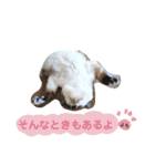 よもぎ大福の味vol.1（個別スタンプ：4）