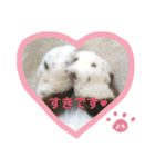よもぎ大福の味vol.1（個別スタンプ：6）