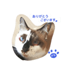 よもぎ大福の味vol.1（個別スタンプ：10）