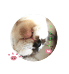 よもぎ大福の味vol.1（個別スタンプ：14）