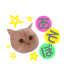 むうちゃん♂2 withびいちゃん（個別スタンプ：1）