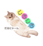 むうちゃん♂2 withびいちゃん（個別スタンプ：2）