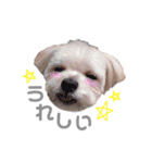 むうちゃん♂2 withびいちゃん（個別スタンプ：14）