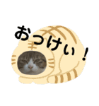 ルイ・スタ（個別スタンプ：5）