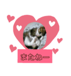 ルイ・スタ（個別スタンプ：6）
