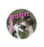 ルイ・スタ（個別スタンプ：12）