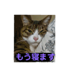 ルイ・スタ（個別スタンプ：23）