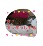 ルイ・スタ（個別スタンプ：26）