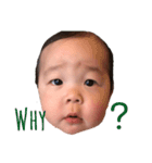 毎日たいたい（個別スタンプ：4）