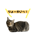 おりちゃん①（個別スタンプ：3）