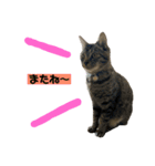 おりちゃん①（個別スタンプ：15）