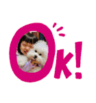ビションフリーゼと女の子1（個別スタンプ：4）