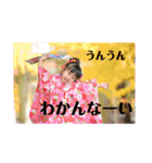 ビションフリーゼと女の子1（個別スタンプ：5）