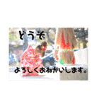 ビションフリーゼと女の子1（個別スタンプ：33）