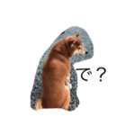 わしがジャッキーじゃ！（個別スタンプ：3）