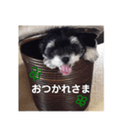 ゴマ＆そら＆うさぎ（個別スタンプ：3）