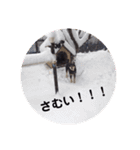 ゴマ＆そら＆うさぎ（個別スタンプ：9）