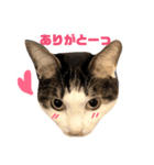 わぽさぼコンビ 2（個別スタンプ：1）
