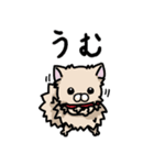 ポメラニアンのパン公（個別スタンプ：1）