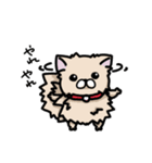 ポメラニアンのパン公（個別スタンプ：2）