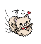 ポメラニアンのパン公（個別スタンプ：3）