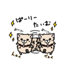 ポメラニアンのパン公（個別スタンプ：4）