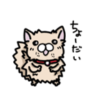 ポメラニアンのパン公（個別スタンプ：11）