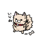 ポメラニアンのパン公（個別スタンプ：12）