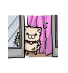 ポメラニアンのパン公（個別スタンプ：14）