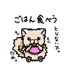 ポメラニアンのパン公（個別スタンプ：26）