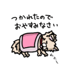 ポメラニアンのパン公（個別スタンプ：27）