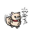 ポメラニアンのパン公（個別スタンプ：29）