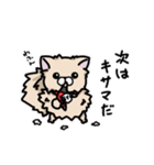 ポメラニアンのパン公（個別スタンプ：31）