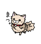 ポメラニアンのパン公（個別スタンプ：35）