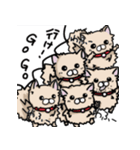 ポメラニアンのパン公（個別スタンプ：36）